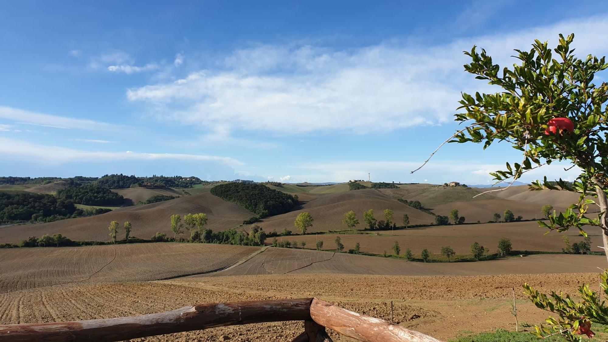 Agriturismo Melariano Villa Castelnuovo Berardenga Exterior foto