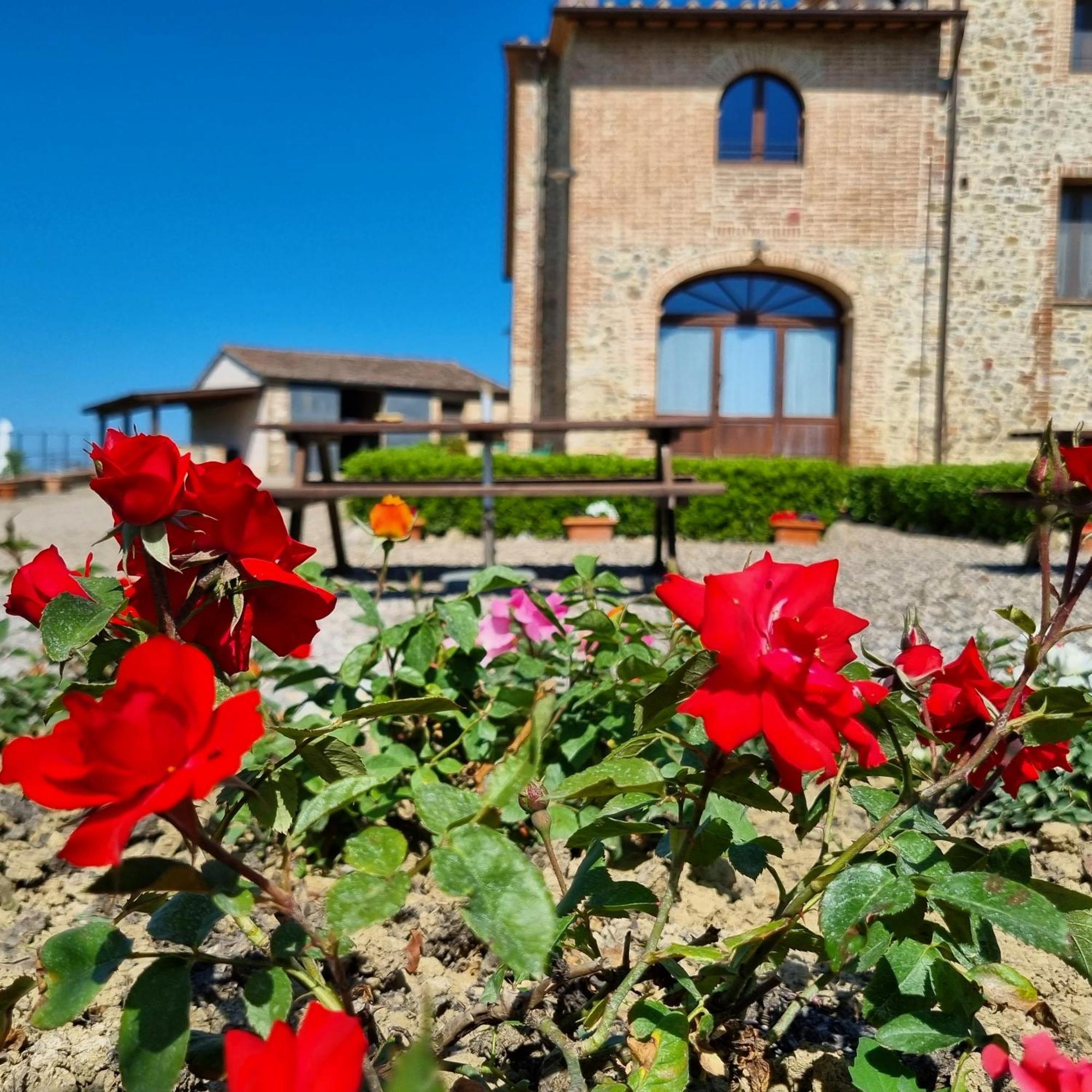 Agriturismo Melariano Villa Castelnuovo Berardenga Exterior foto